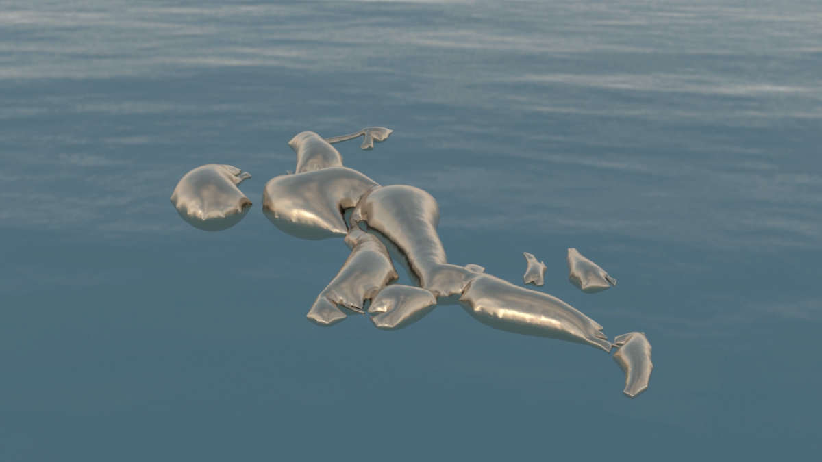 New Cinema Shorts \\ Natasha Thembiso Ruwona: Beyond Bodies, Towards Waters