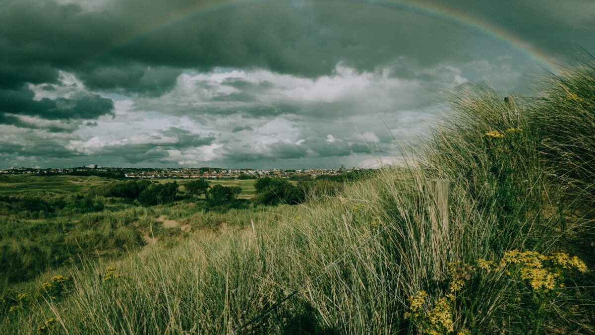 Film Screening: Future Flow