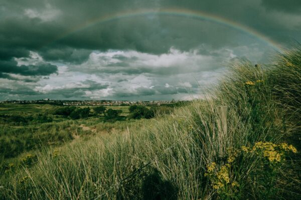 A rainbow over a meadow