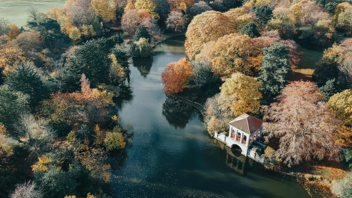 Headwaters \\ Scalarama Merseyside