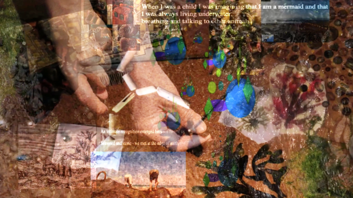 Weedweavers \\ New Emergences: Performance