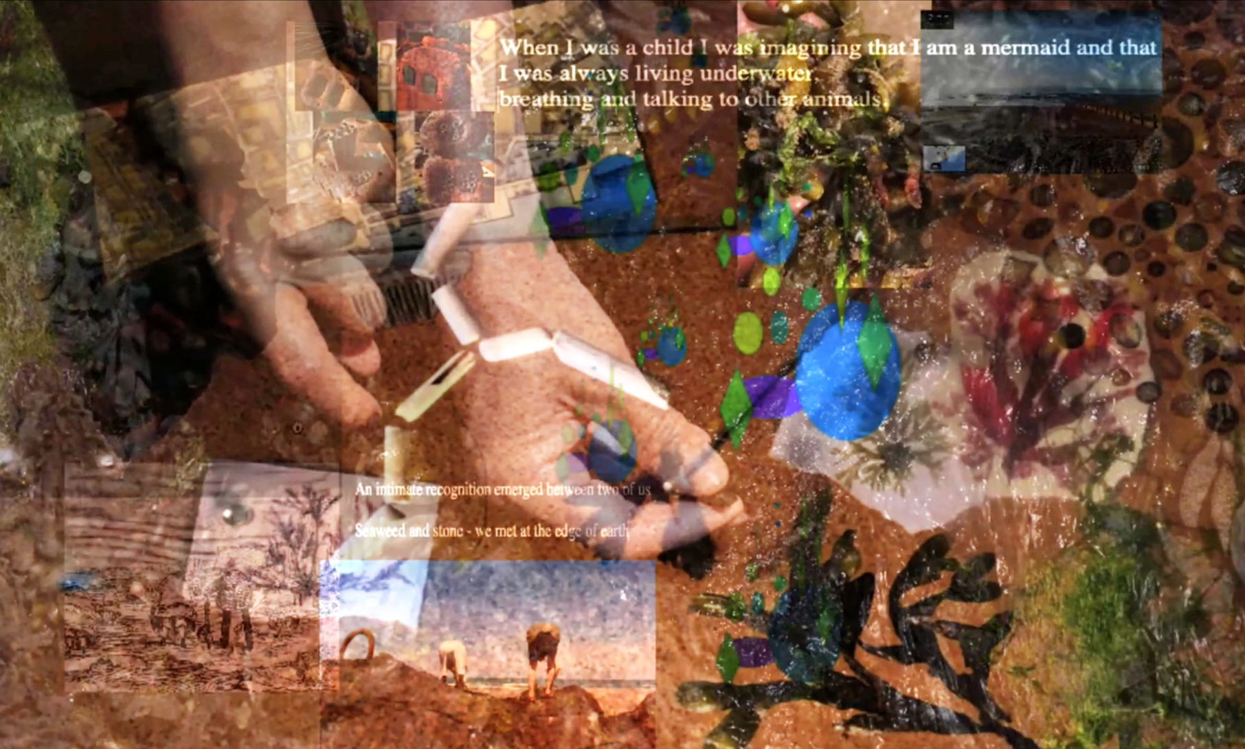 Header imagege