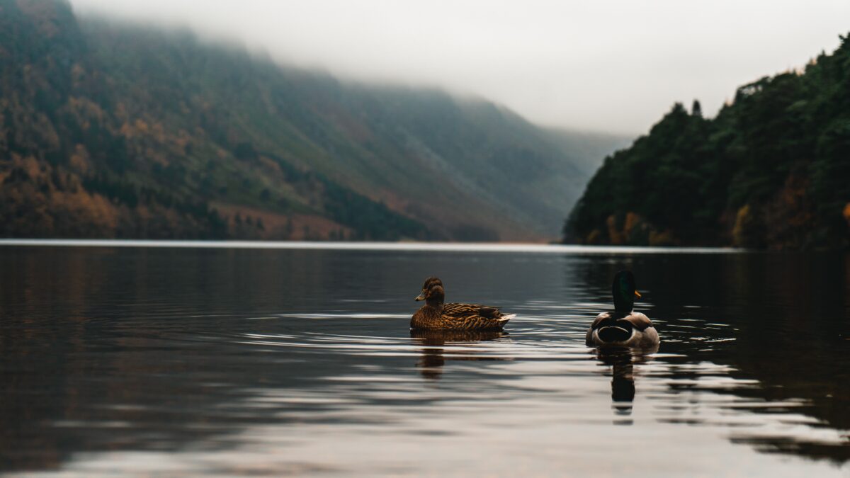 Headwaters: a prologue by Scalarama Merseyside