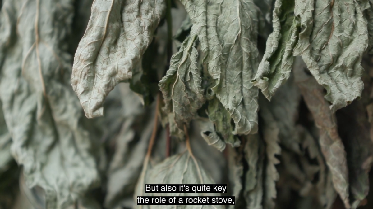 WetLab: Dialogues #1