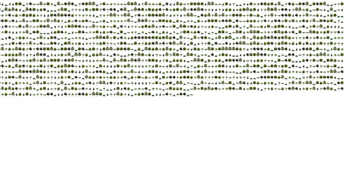 The Networked Condition: Joana Moll Case Study