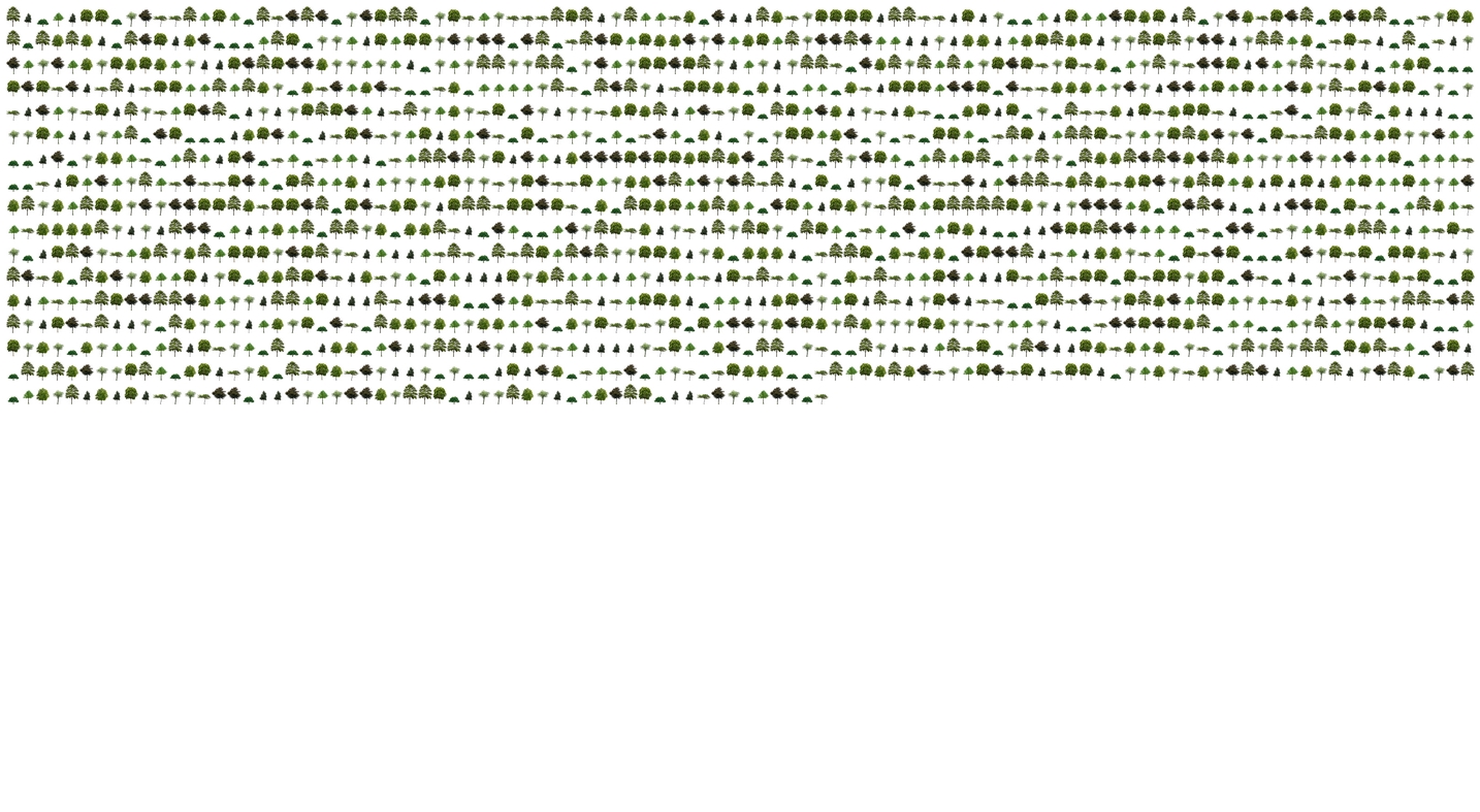 Header imagege