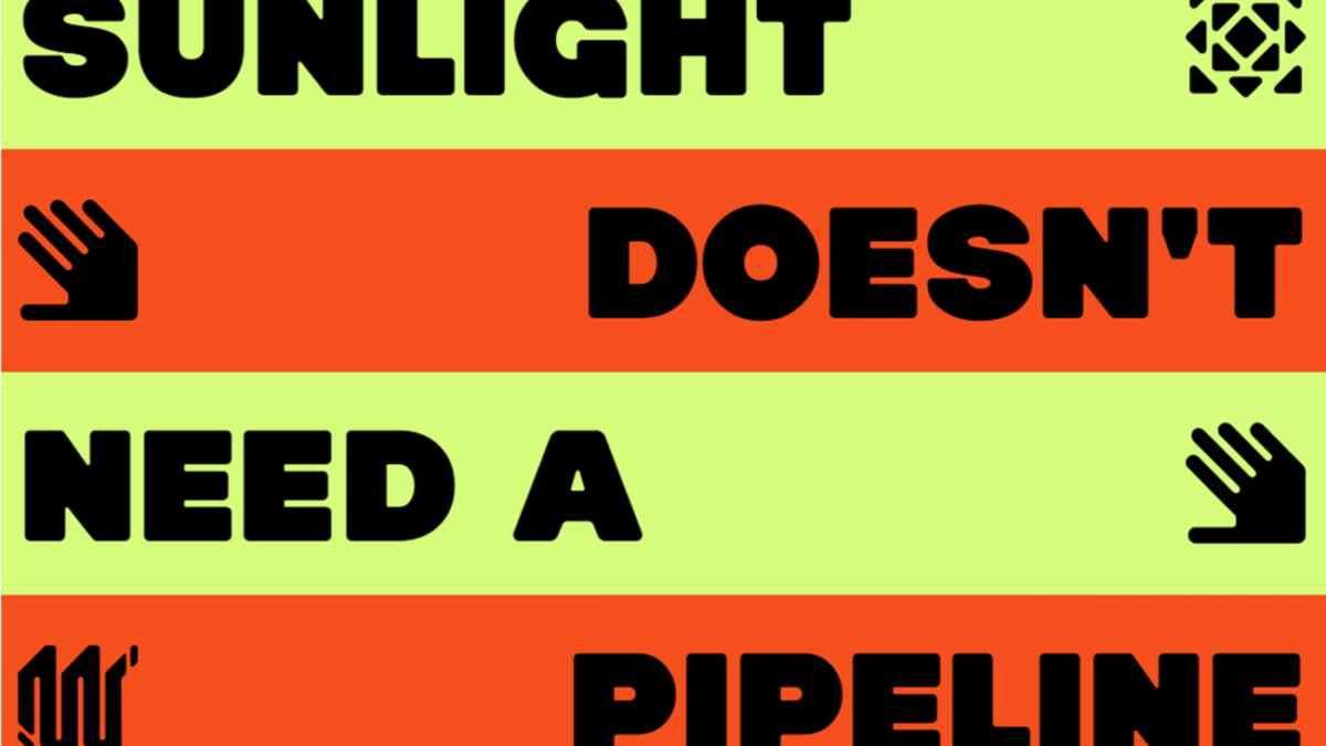 The Networked Condition: Sunlight Doesn’t Need a Pipeline Case Study