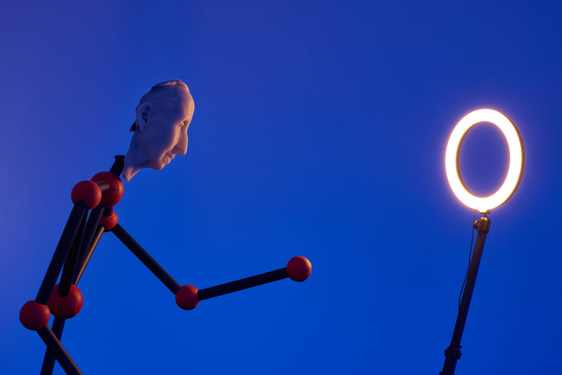 Header imagege