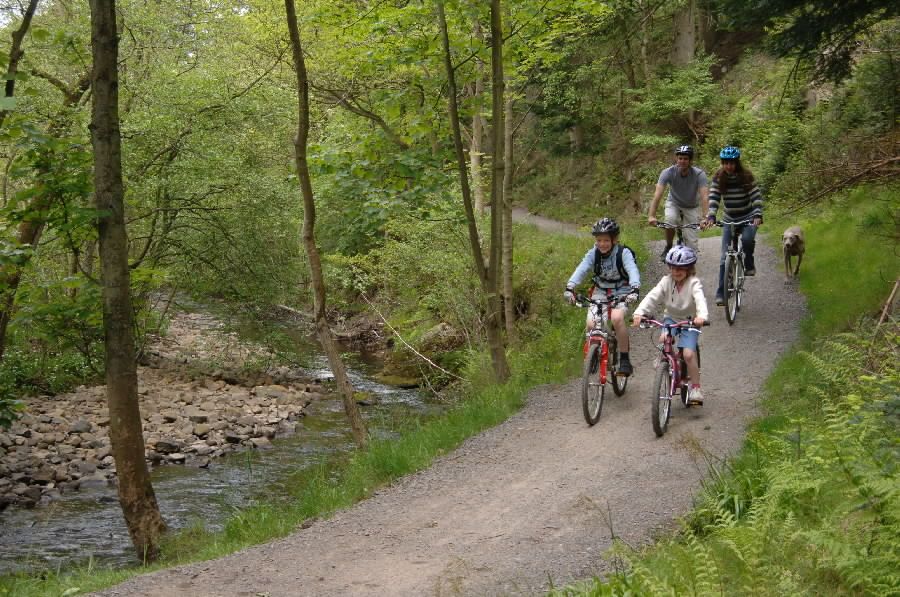 Family cycling on the Bedburn Beck. Grove Link Trail. Hamsterley Forest. Kielder FD